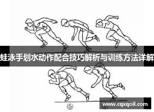 蛙泳手划水动作配合技巧解析与训练方法详解
